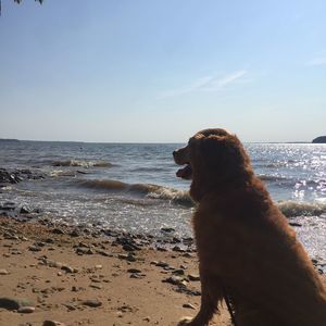 Meet your Posher, Cindi